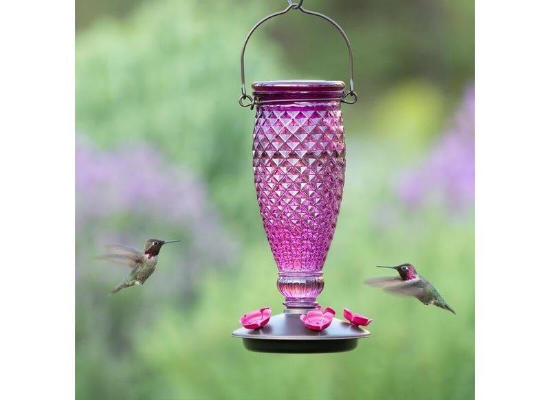 Perky-Pet Diamond Wine Top Fill Glass Hummingbird Feeder with Built-in Bee Guards - Outdoor Garden DÃ©cor - 24 Oz Nectar Capacity - 9102-1SR - Purple Humming bird Feeder - Easy to Fill, Easy to Clean - Image 5